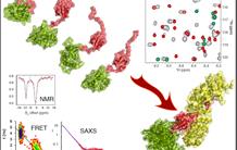 Mise à jour de la dynamique d'une protéine de H5N1
